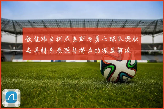 张佳玮分析尼克斯与勇士球队现状各具特色表现与潜力的深度解读